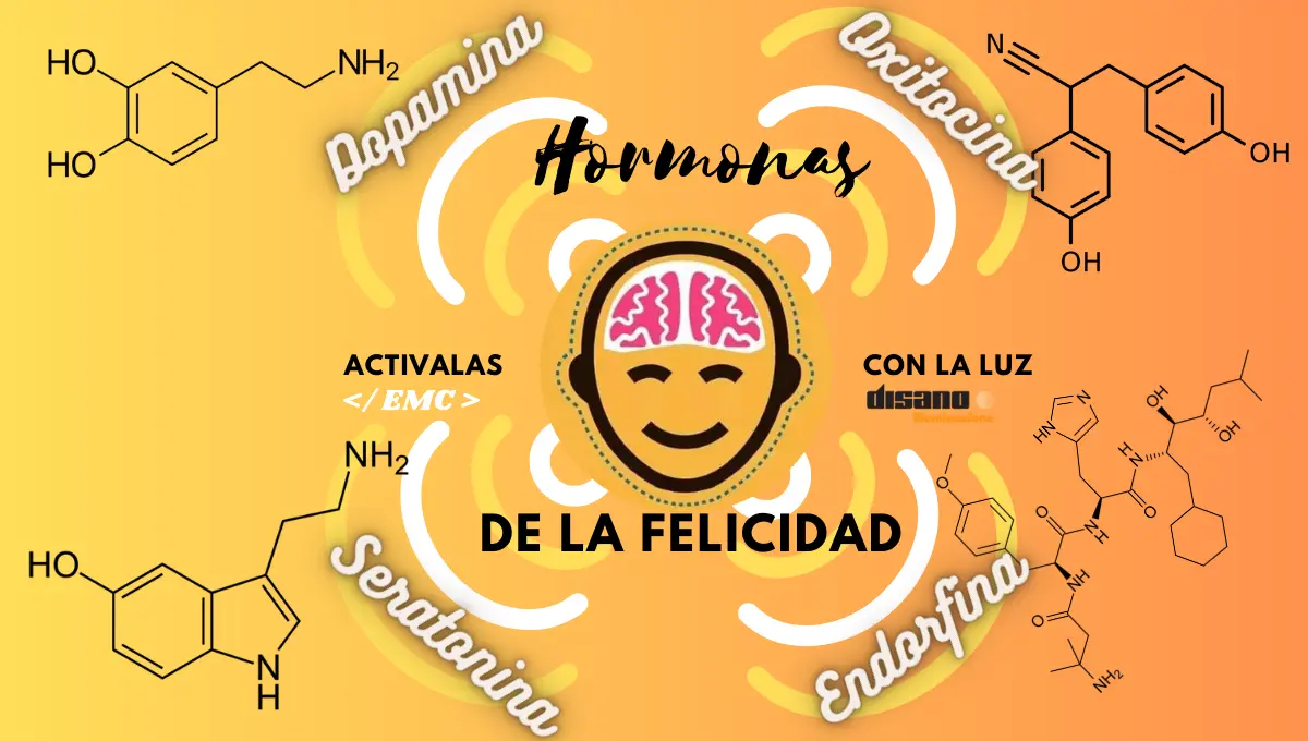 La Luz activa las Hormonas de la Felicidad