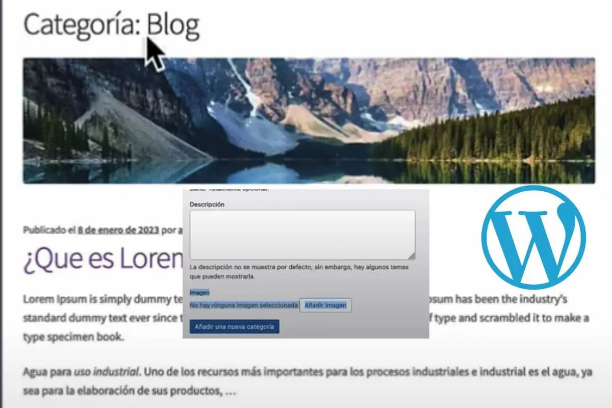 Cómo Personalizar la Página de Categorías en WordPress