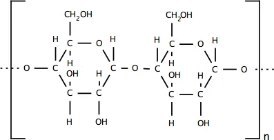 Polímeros Naturales- Descubriendo la Fascinante Química de la Naturaleza