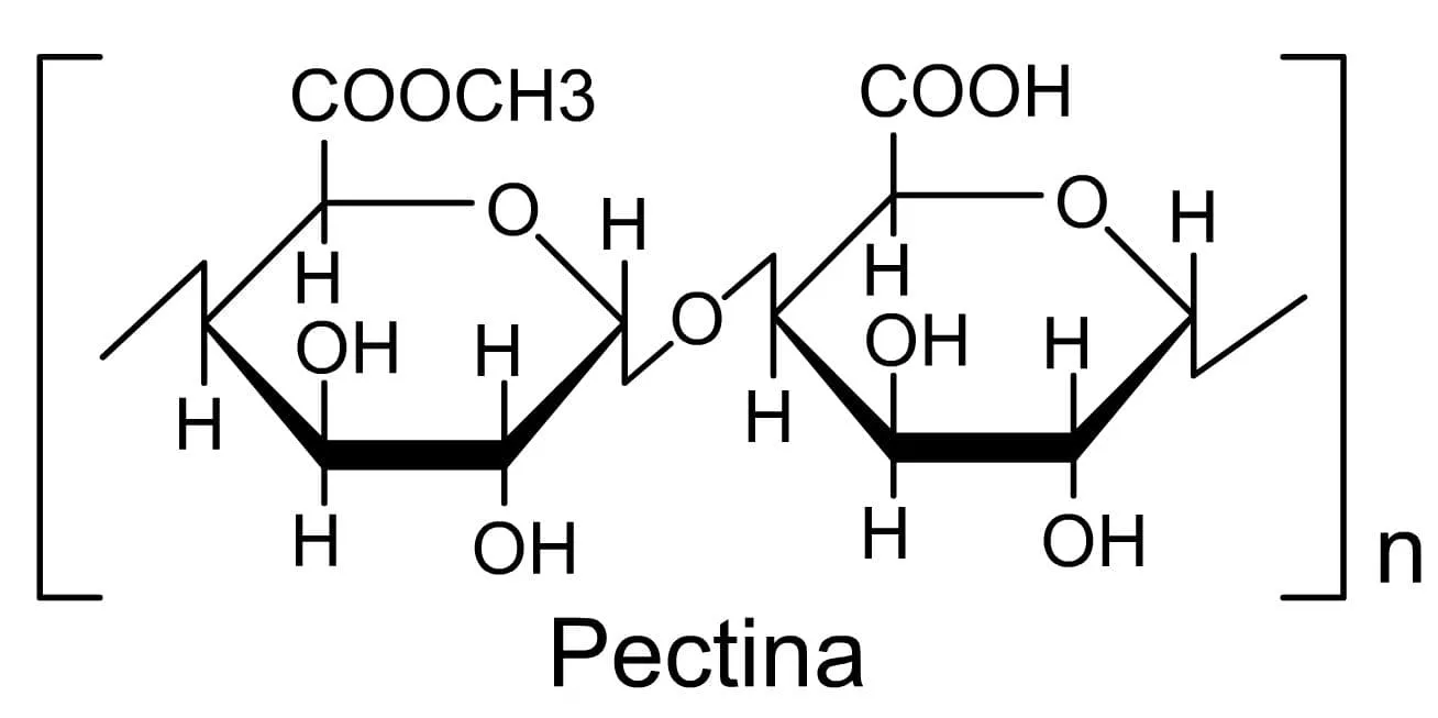 Pectina